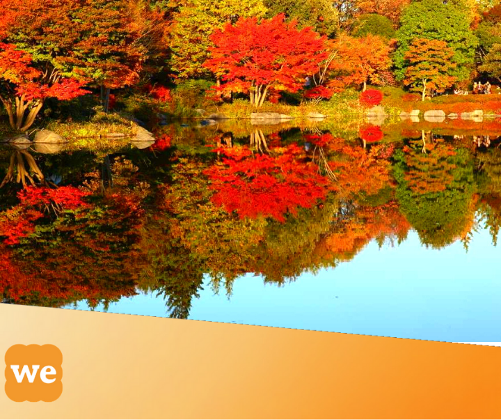 Japanese Vocabulary: 10 Easy Fall Words You Need To Know! 