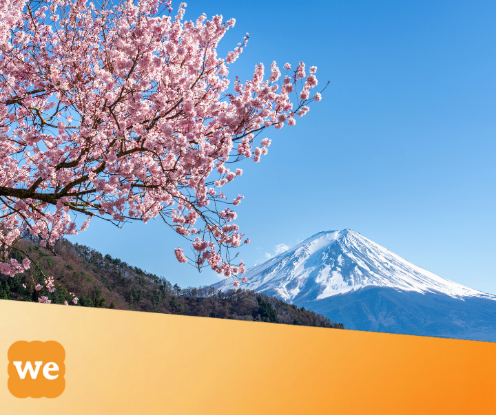 Cherry blossom in a postcard, Mount Fuji, Japan