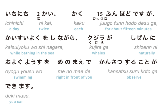 Furigana for the “A Beach Where You Can Swim and Meet Whales"